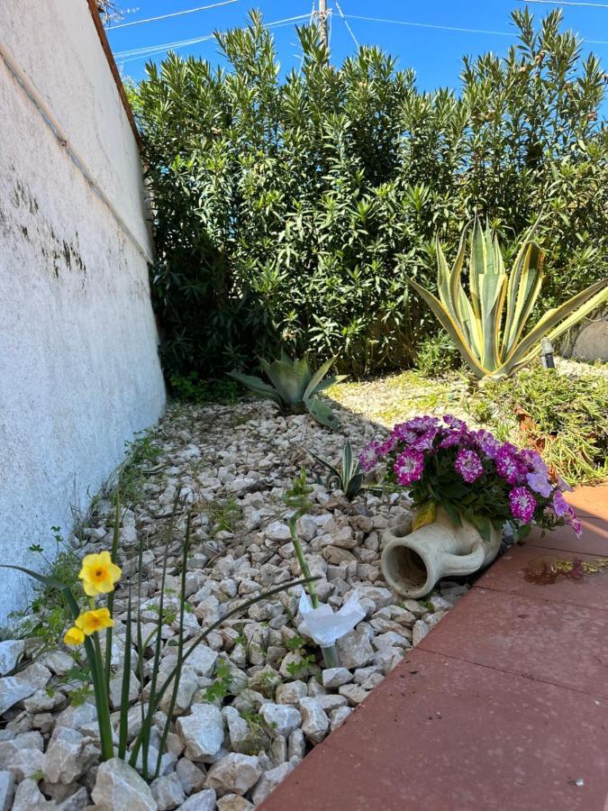 Villa Fiorenza - 100 Mt Dal Mare Castellammare del Golfo Dış mekan fotoğraf
